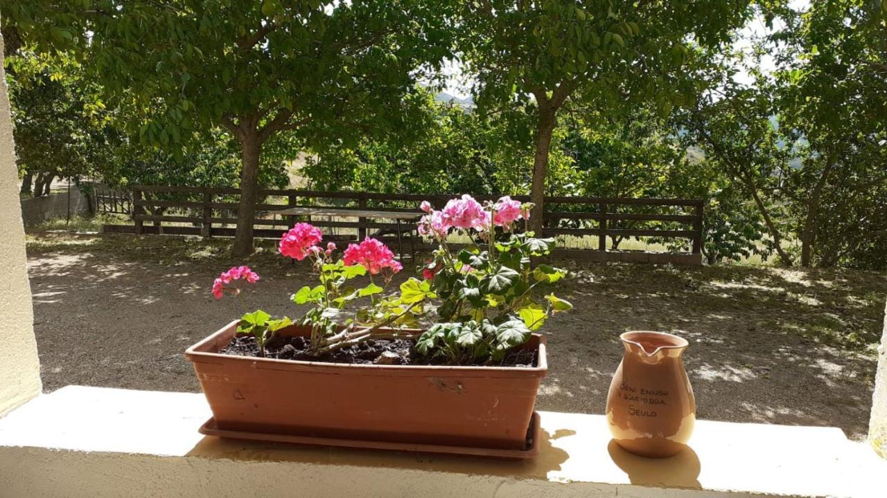 Farm stay S'armidda *