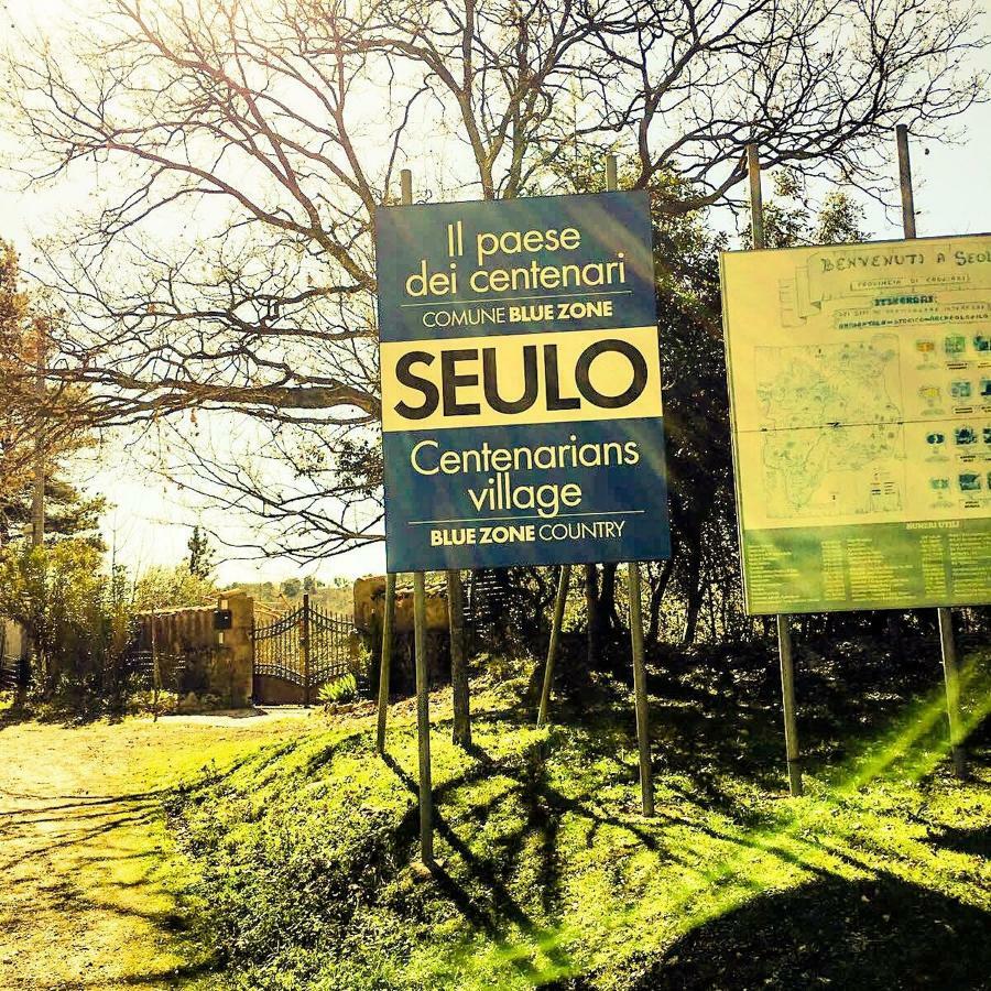 S'armidda Agroturismo *